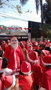 Planter Stand with Pots